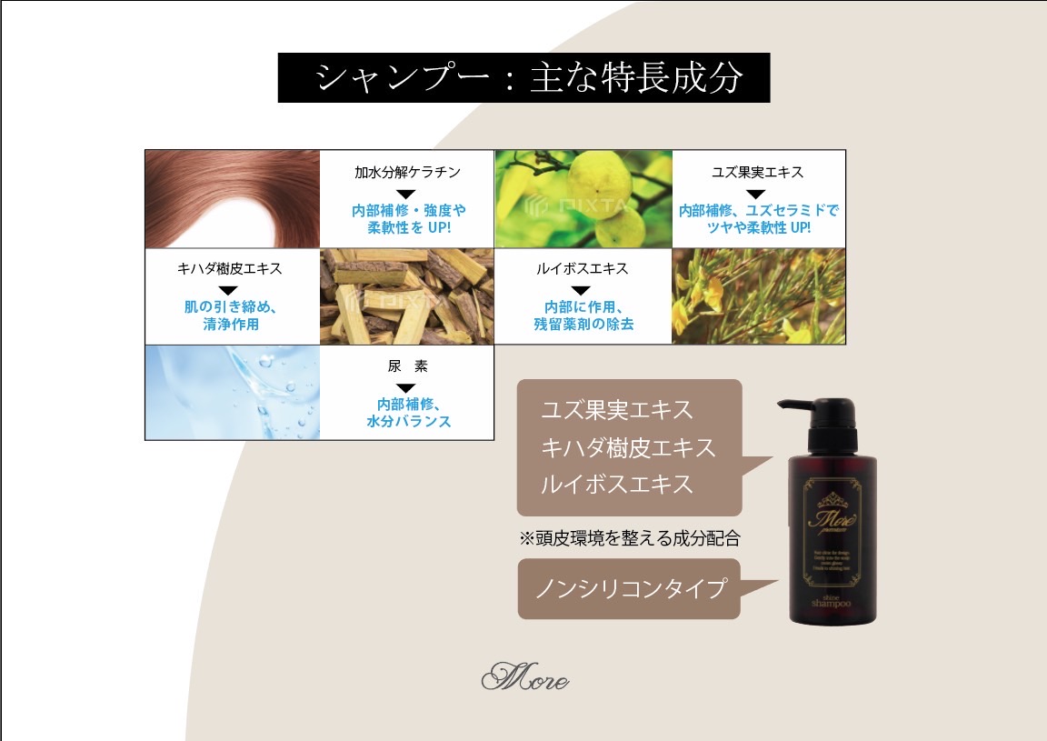 シャインシャンプーモア300ml | Stock Care